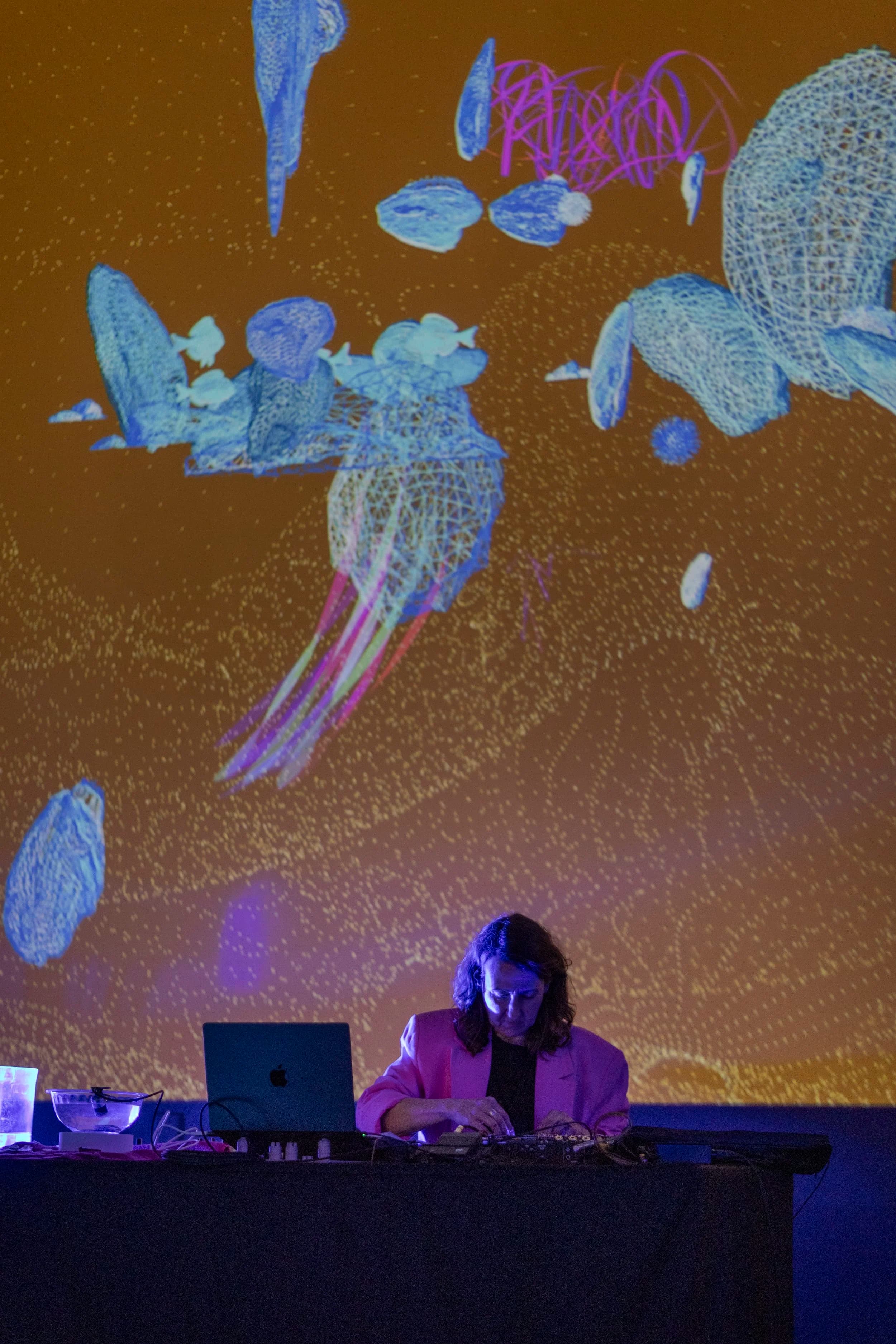 CLEAT Series: Suzanne Thorpe's 'A Serenade for Settling' w/ Bonnie Jones & Stephan Moore, Binary Stitches